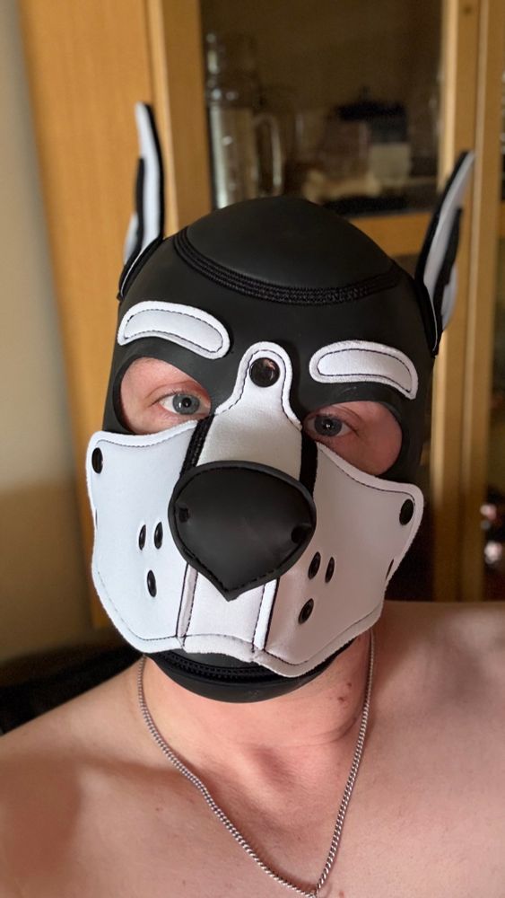 Person in black and white pup hood. 