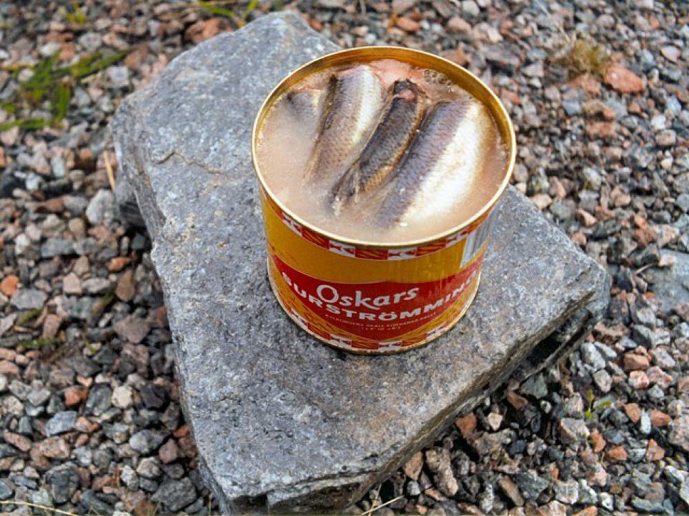 Surströmming - Wikipedia