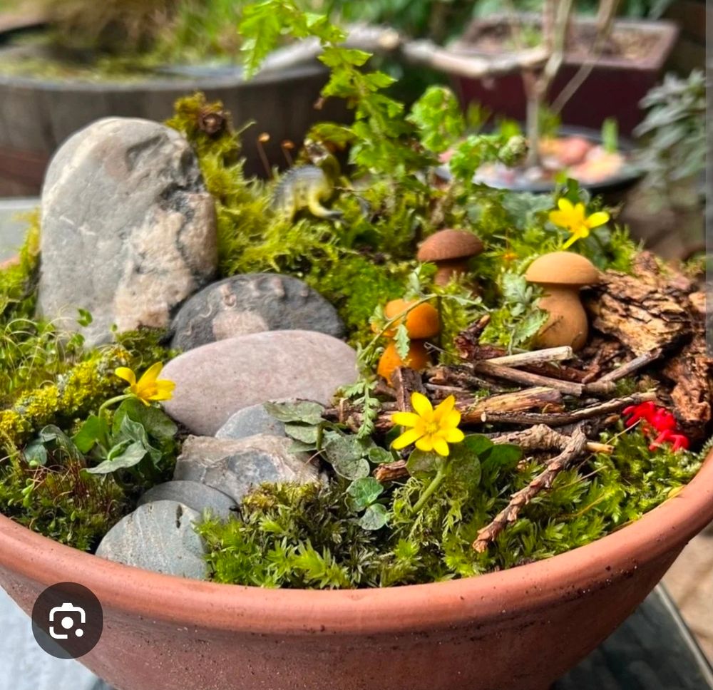 Tiny woodland scene in a clay pot. 