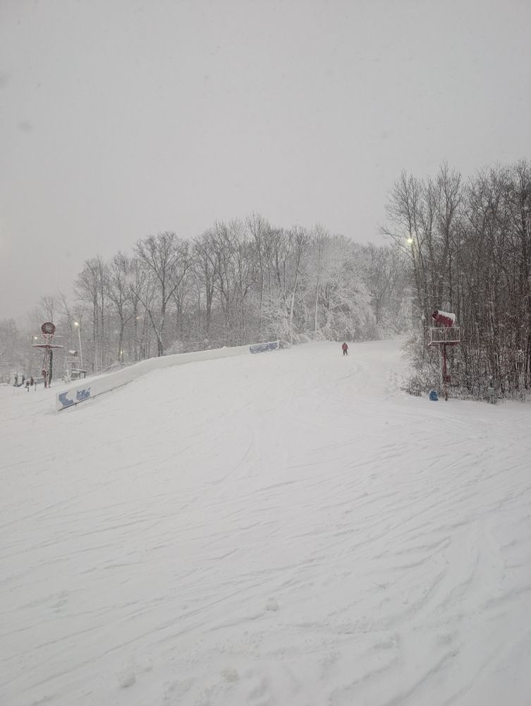 A snowy hill groomed for skiing with dusted pine trees on either side of the run. The sky is grey and the photo is hazy from the snowstorm.