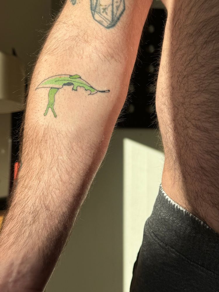 A shot of the side of my furry belly bc I am perpetually thirsty, but also my forearm where I got a tattoo of a tiny slug hanging upside down off of a leaf!!!