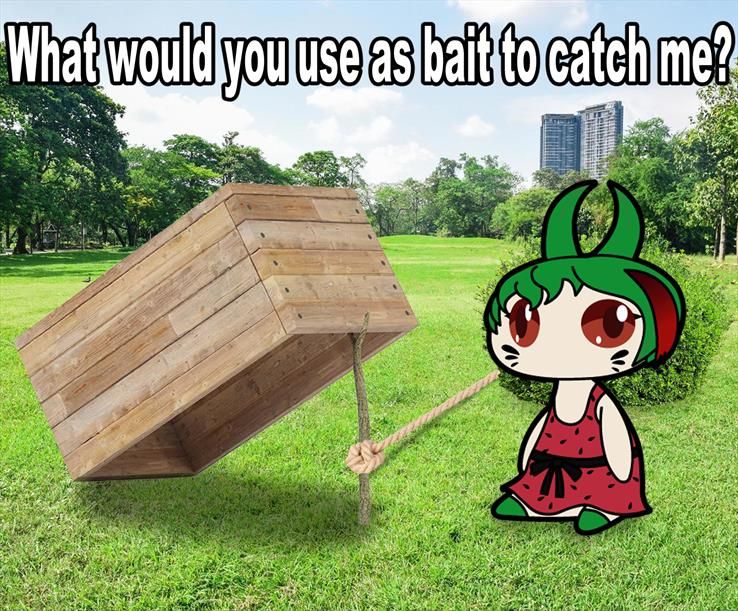 What will you use to catch a Vtuber Melon?🍈🤔