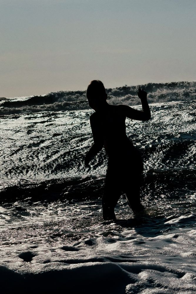 Silierte in den Wellen