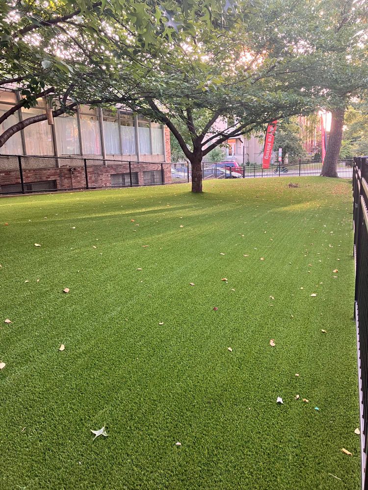 Play area with astroturf. 