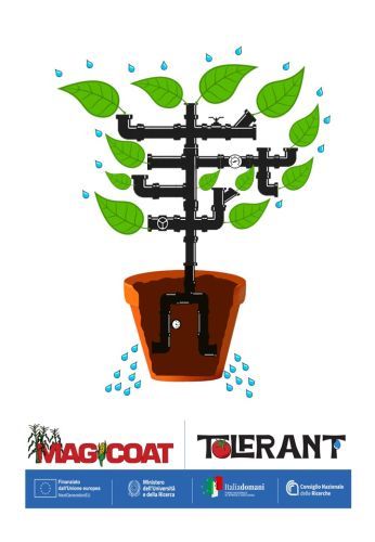 Poster of the Magicoat and Tolerant projects