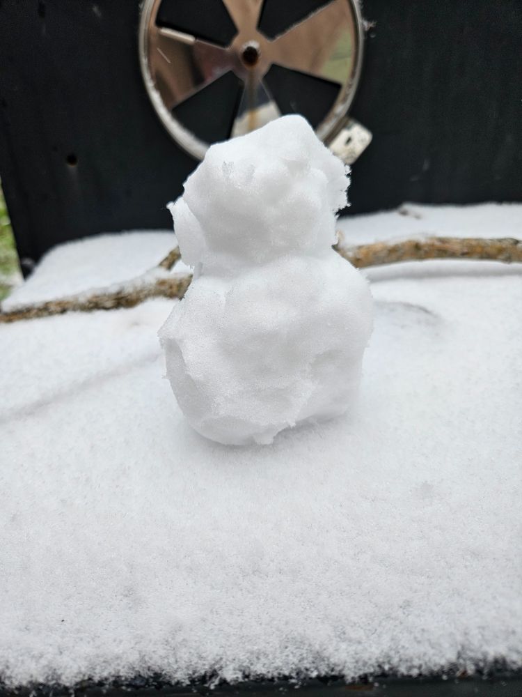 A small snow person 