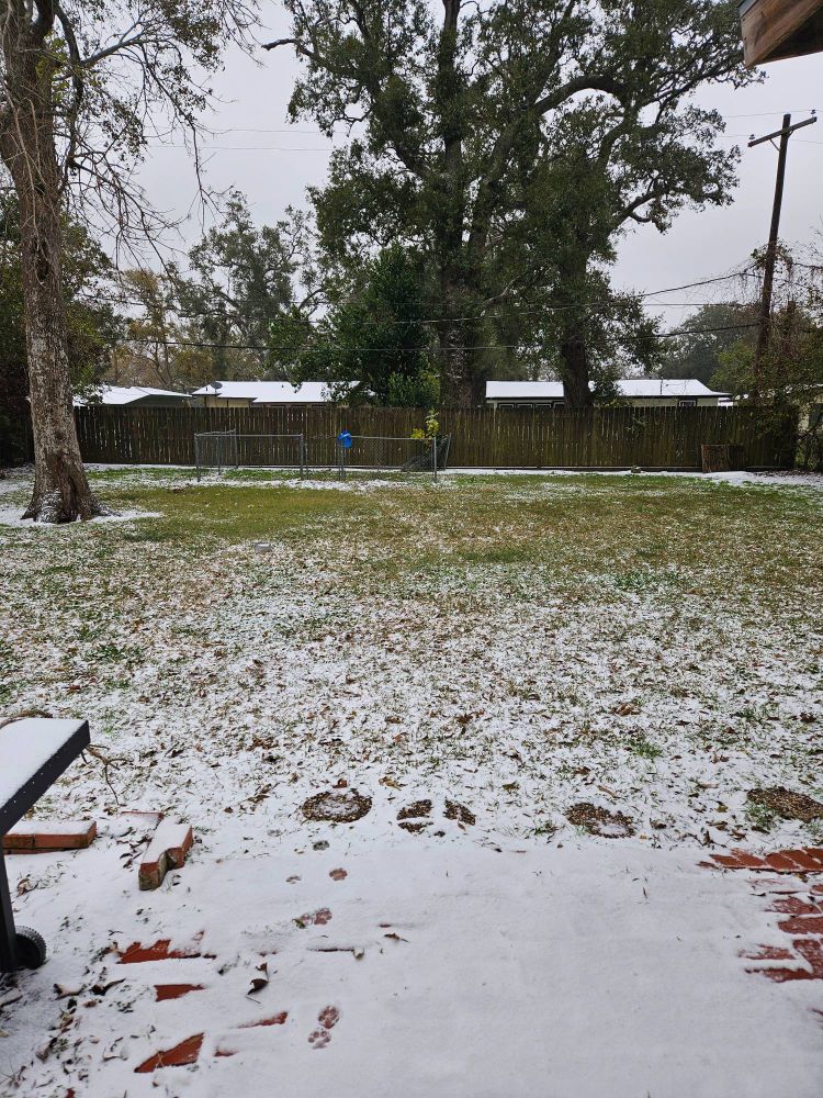 Snow in a backyard 