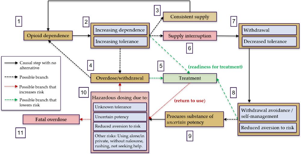 1)
Supply interruption sends people who are physically dependent on opioids into withdrawal, and the most common outcome is that they will avoid or reduce the condition with a replacement supply of opioids

2)
Supply interruption reduces a person's tolerance of opioids to a degree they cannot measure with precision, making dosing more hazardous.

3)
The replacement supply of illicitly produced opioids sought in the aftermath of a seizure event is likely to be of a different, uncertain potency than the interrupted one, further compounding the hazards of dosing.

4)
People experiencing opioid withdrawal have a reduced aversion to risk, causing them to discount these hazards.

5)
Efforts at self-medication after a police opioid seizure can also increase risk of overdose.