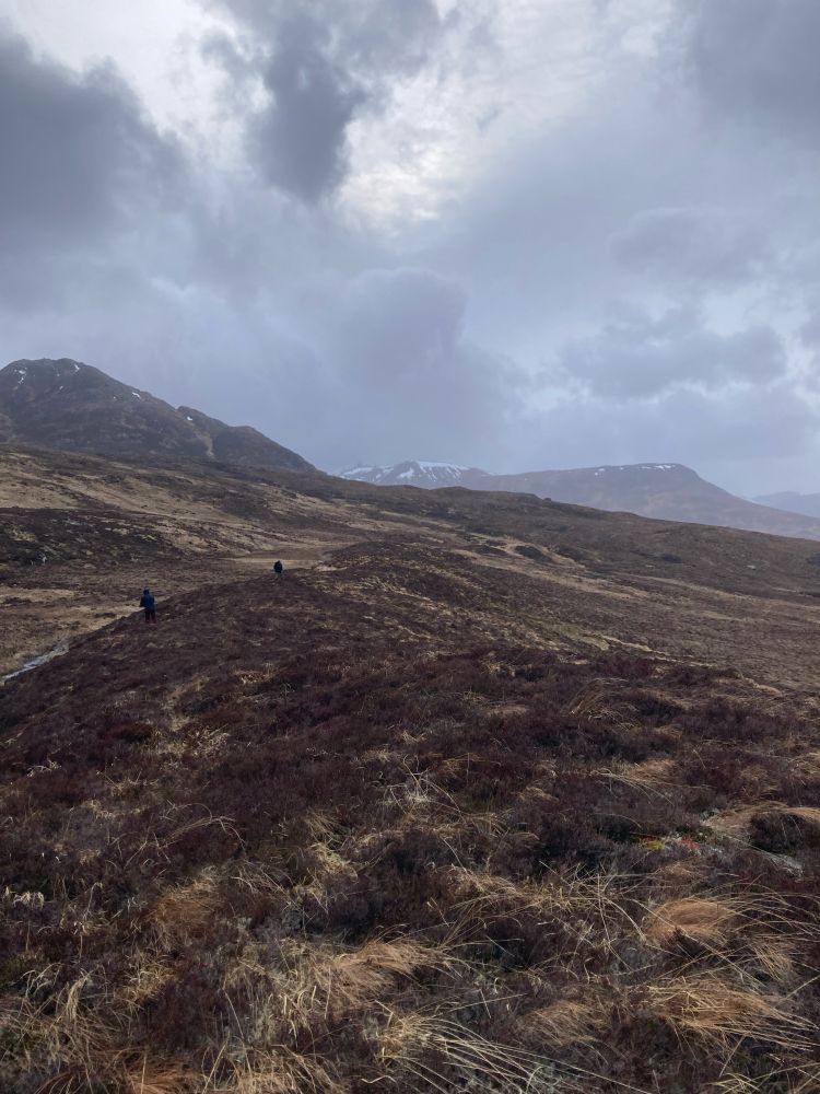 A massive lateral moraine