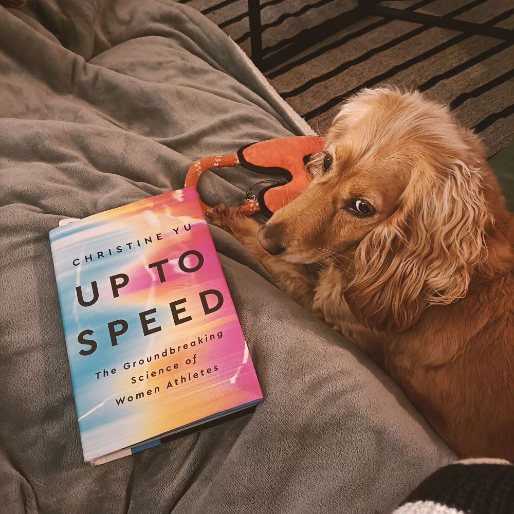 I have my feet up on the sofa under a grey heated blanket with Christine Yu's book, Up To Speed: The Groundbreaking Science of Women Athletes, on my lap. Nestled beside me is Amber, by golden Cocker Spaniel who has an orange monkey toy under her paw