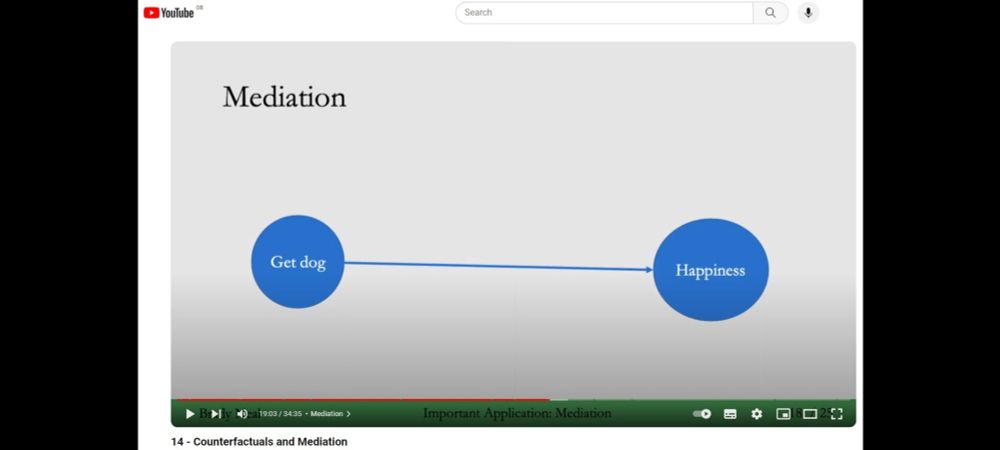 The example suggests that getting a dog leads to happiness