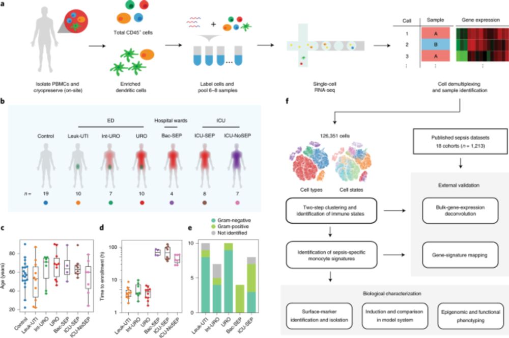 An immune-cell signature of bacterial sepsis - Nature Medicine