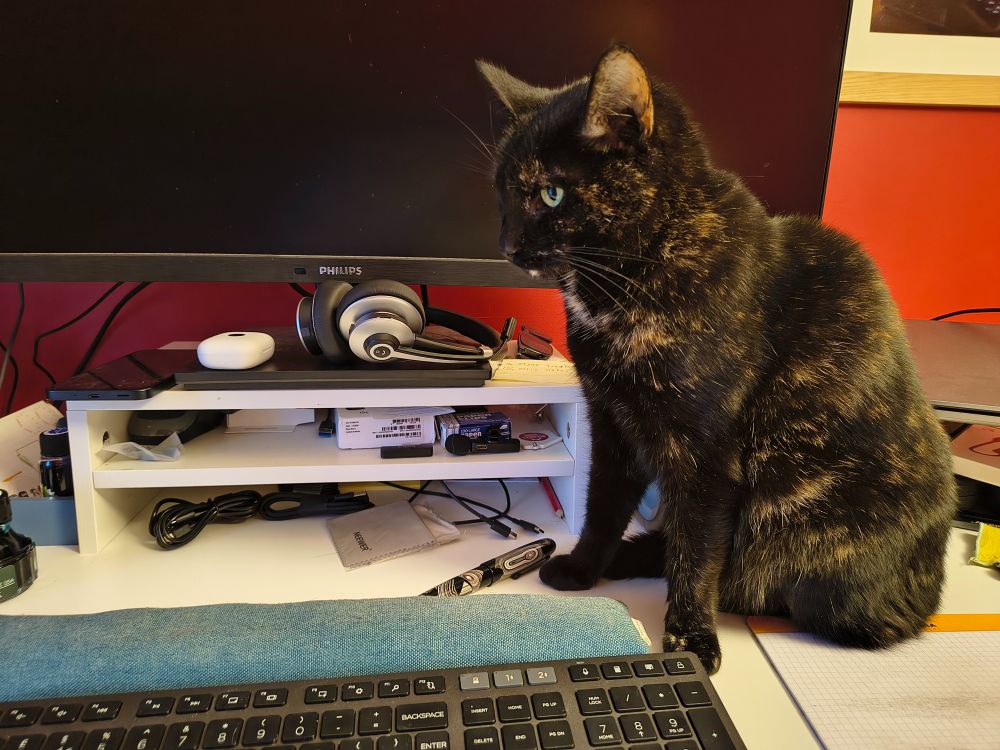My cat, Rosie, who is a black/tortoiseshell, sitting on my desk. In front of her is my computer keyboard and behind her, partially obscured by her head, is the computer monitor, which is switched off.