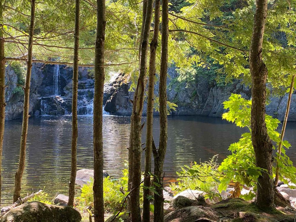 The falls seen through the trees