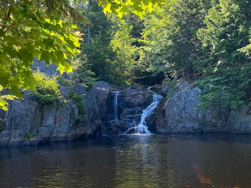 The falls with a tree canopy above