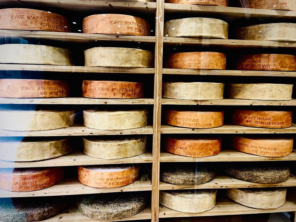 Runde Käselaiber in einem Holzregal gelagert und  im Schaufenster präsentiert. Insgesamt sind auf dem Bild 28 Laiber.