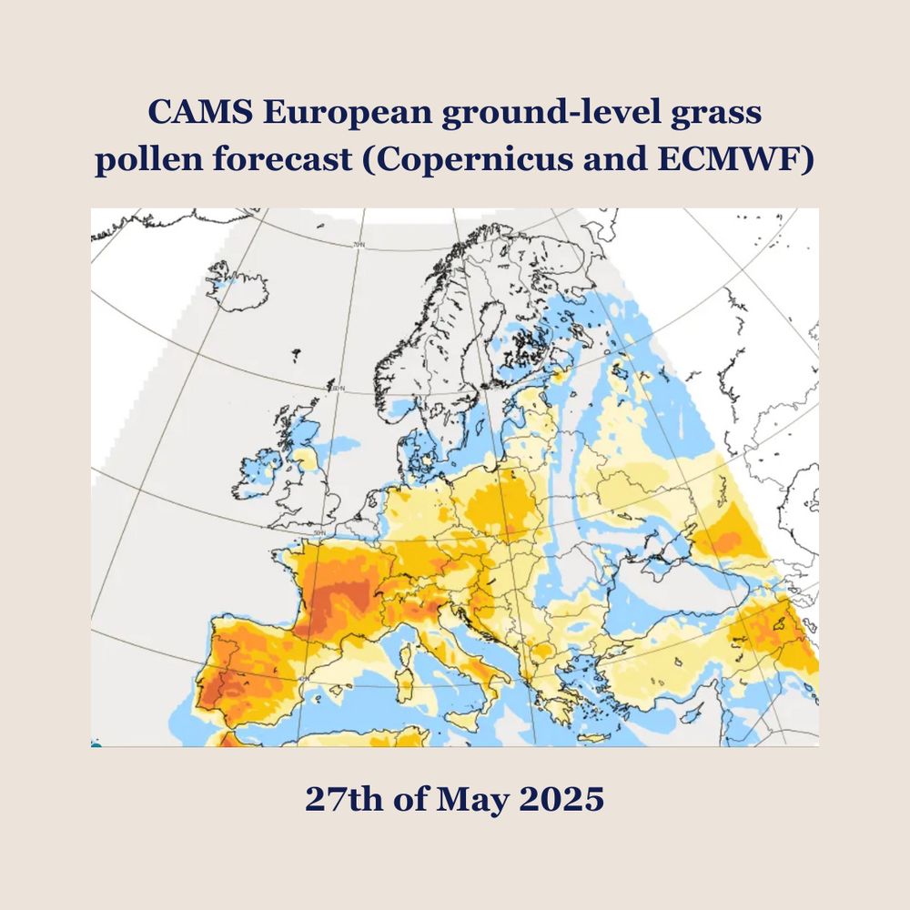 CAMS European ground-level grass pollen forecast (Copernicus and ECMWF): higher grass pollen concentrations are indicated on this map for Portugal, Spain, France and Italy for today