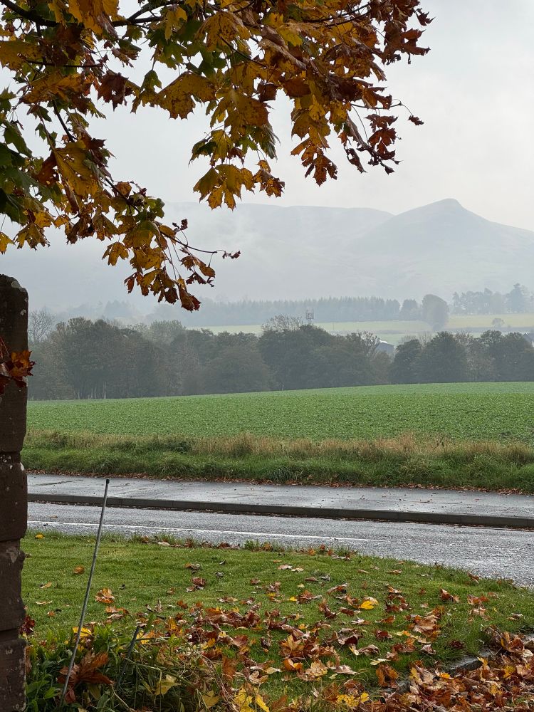 What hills?  Dreich day