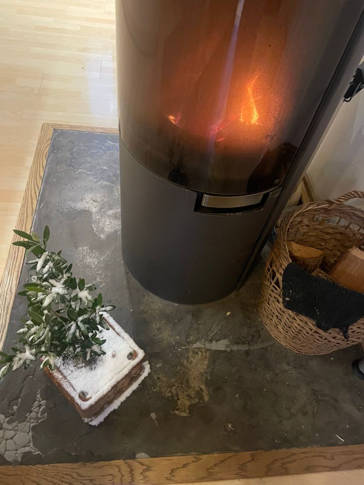 Ein kleines Bäumchen in einem Topf vor einem Ofen. 