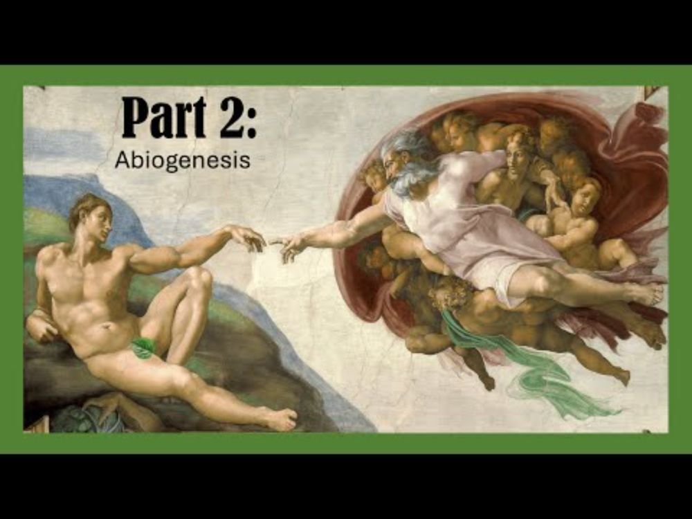 The Definitive Guide to Debunking Creationists Part 2: Abiogenesis