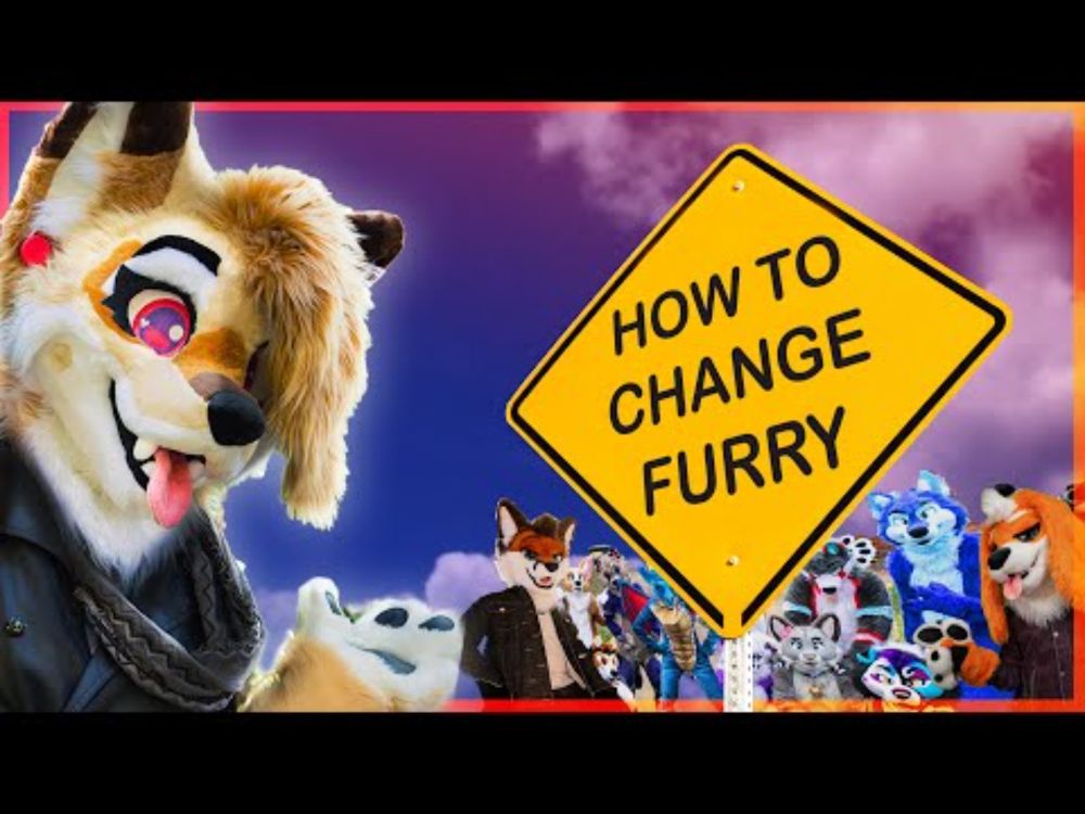 How YOU can fix the Furry Fandom: A Practical Guide