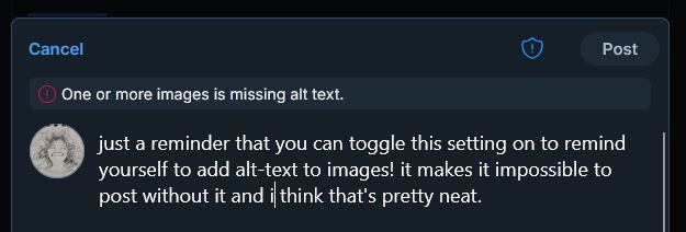 bluesky new post of this post, on top of profile, it has a warning that says "one or more images is missing alt text." and post button is unavailable for clicks.