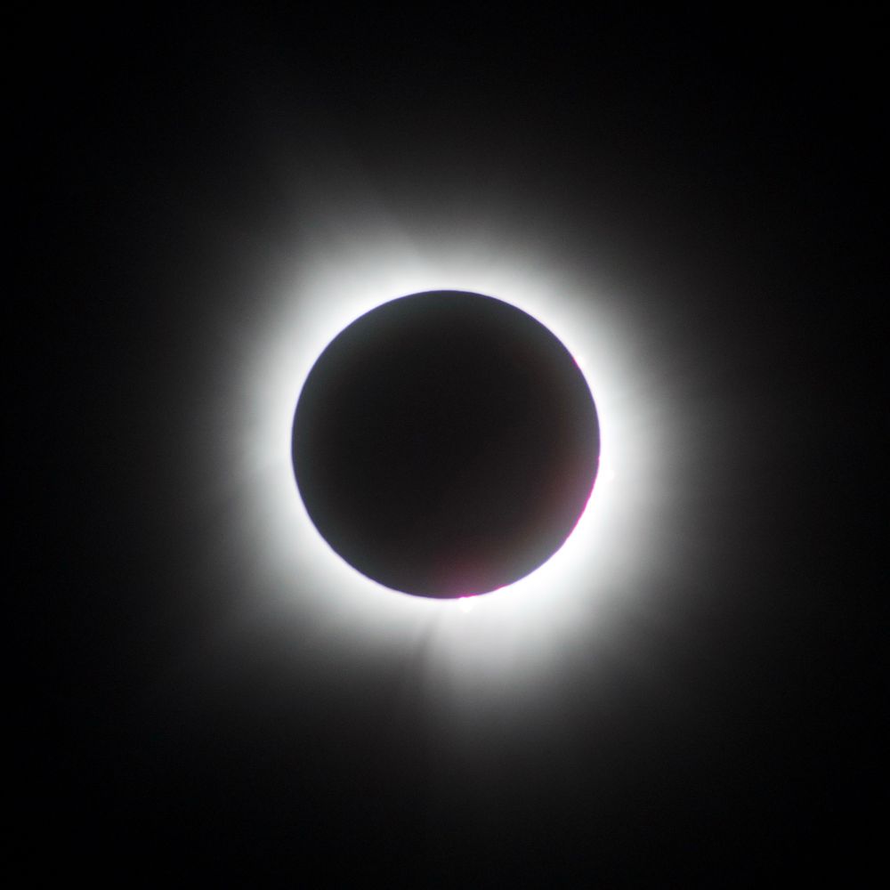 Total solar eclipse. A disc of black radiates a stringy white glow into a black void. Small wisps of white (the prominences) around parts of the edges of the disc radiate purplish light that flares into the center of the disc