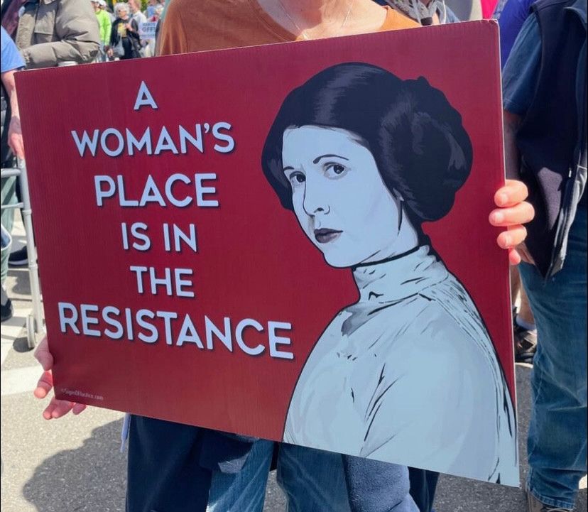 A Woman's Place Is In The Resistance.
Princess Leah and her buns