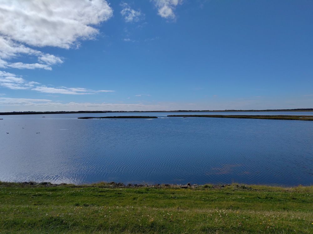 Rantumbecken vom Deich aus, viel Wasser, ein paar Vögel und zwei kleine Inselchen aus Schilf