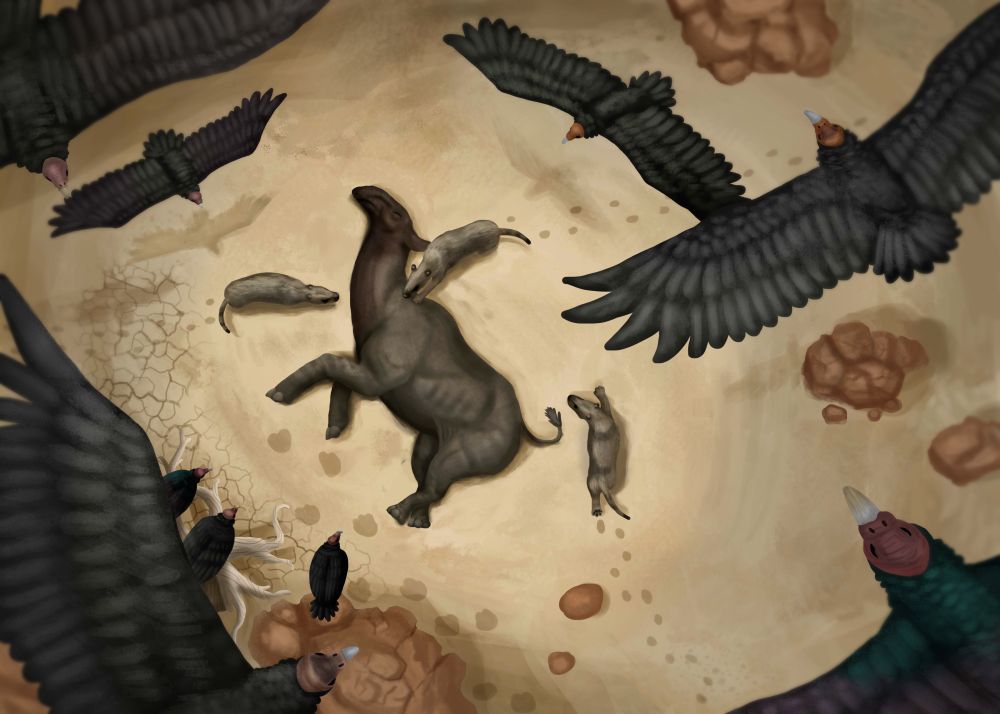 Dead Paraceratherium circled by Hyaenodon and vultures