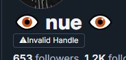 Screenshot of my profile where my username is replaced with "Invalid Handle" ? 