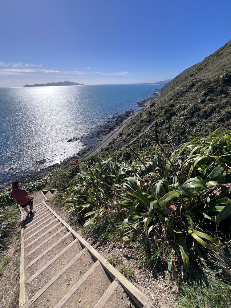 Escarpment track