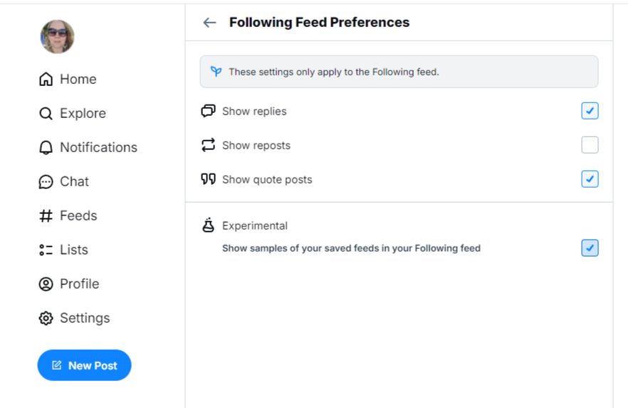 Screenshot of the experimental option to show samples of saved feeds in the Following Feed - found under Settings 