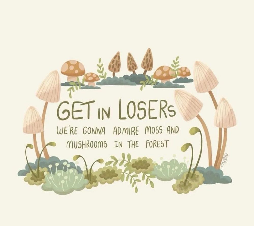 art by ANEAcc from instagram that says, “get in losers, we’re gonna admire moss and mushrooms in the forest” in handwritten type surrounded by solid edge shape illustrations of mushrooms and moss