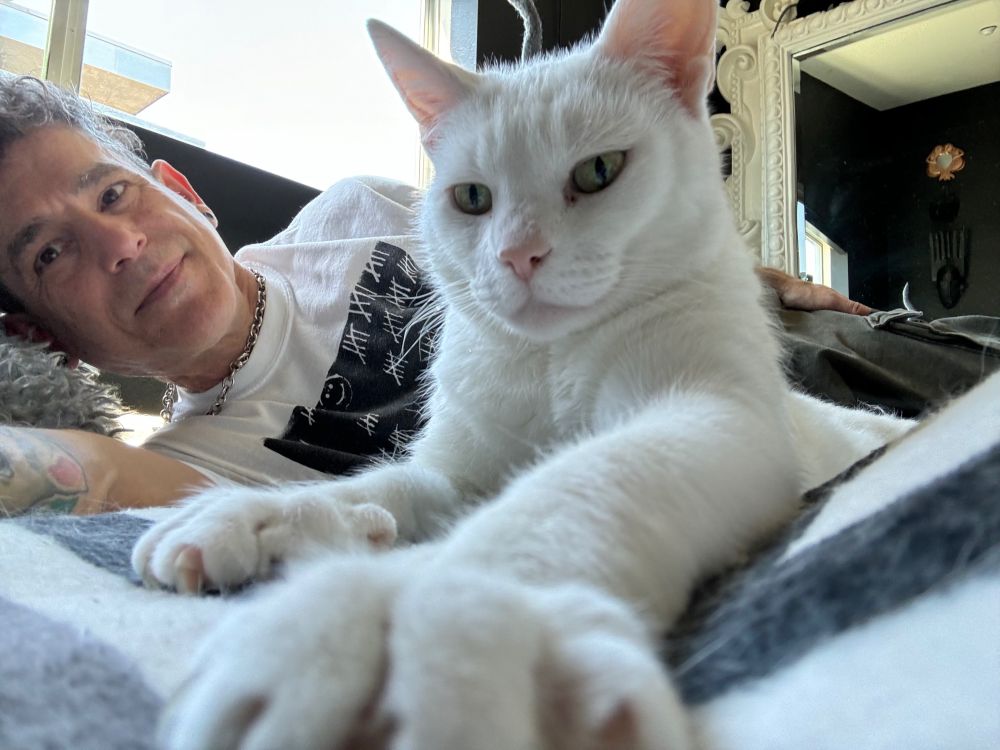Man laying behind a closeup of a white cat on a bed in the afternoon. The white cat's right front paw is in the forefront appearing larger.