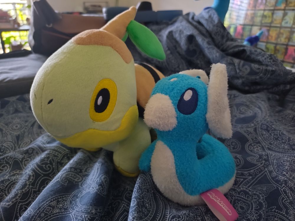 Turtwig and Dratini 
