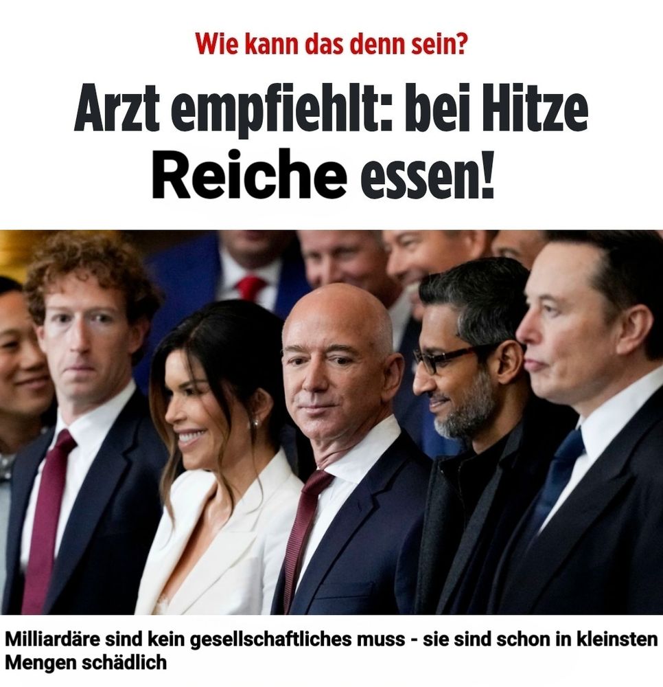 Fake Bild online Screenshot. Überschrift: "Wie kann das denn sein? Arzt empfiehlt: bei Hitze Reiche essen!", darunter ein Bild von Bezos, Zuckerberg und Musk. Darunter Unterzeile "Milliardäre sind kein gesellschaftliches Muss - Sie sind schon in kleinsten Mengen schädlich "
