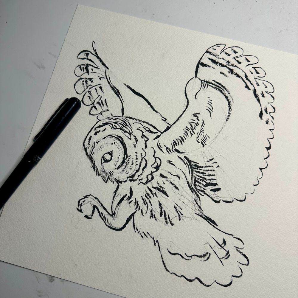 a brush pen sketch of an owl flying and reaching its legs out for something