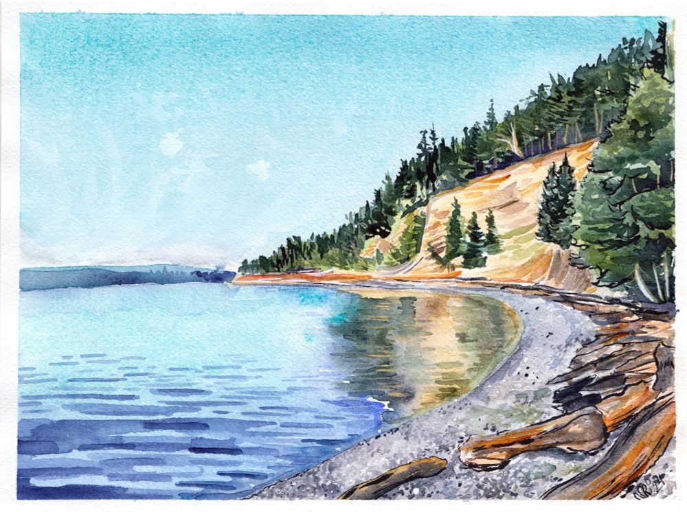 A watercolor painting of a driftwood-covered beach and forested bluff on Camano Island.