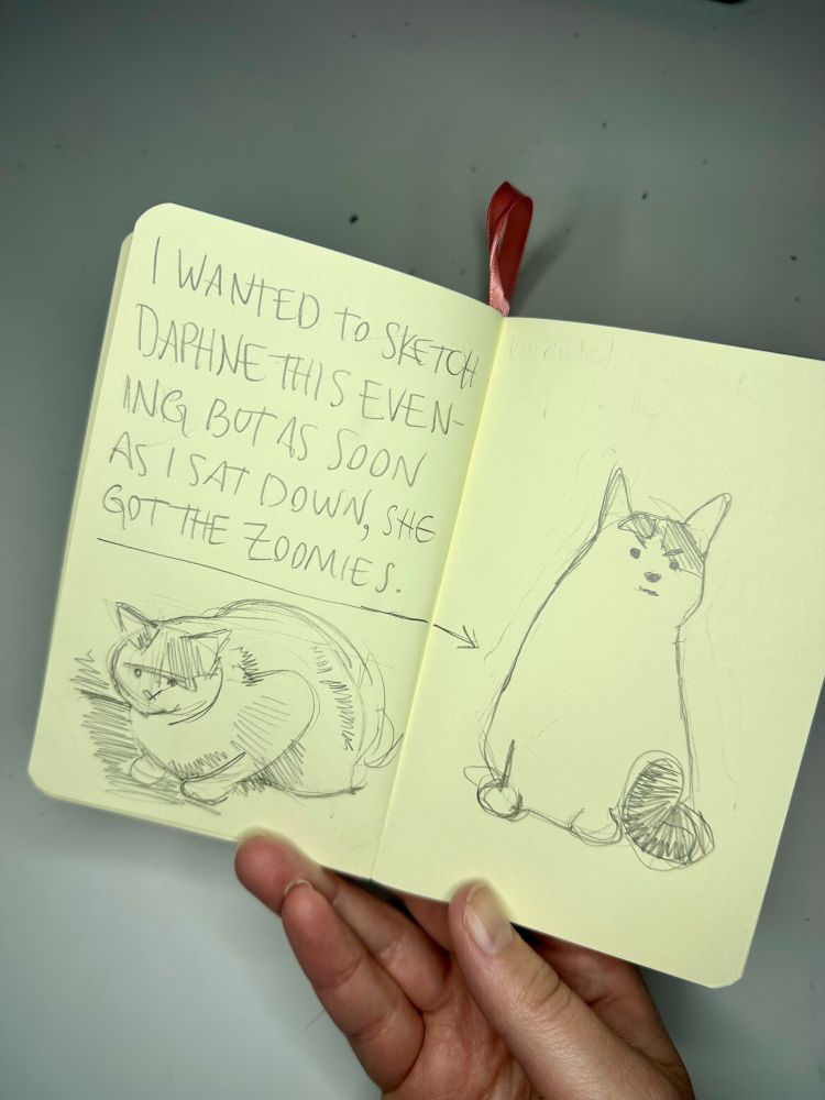 Day 15 of the 100 day project. Loose pencil sketches of a cat with the handwritten text that says "I wanted to sketch Daphne this evening but as soon as I sat down, she got the zoomies"