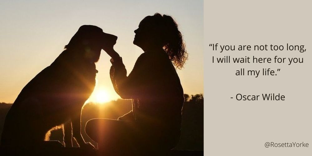 A long-haired woman sitting down, talking to a seated dog, both silhouetted against the setting sun.