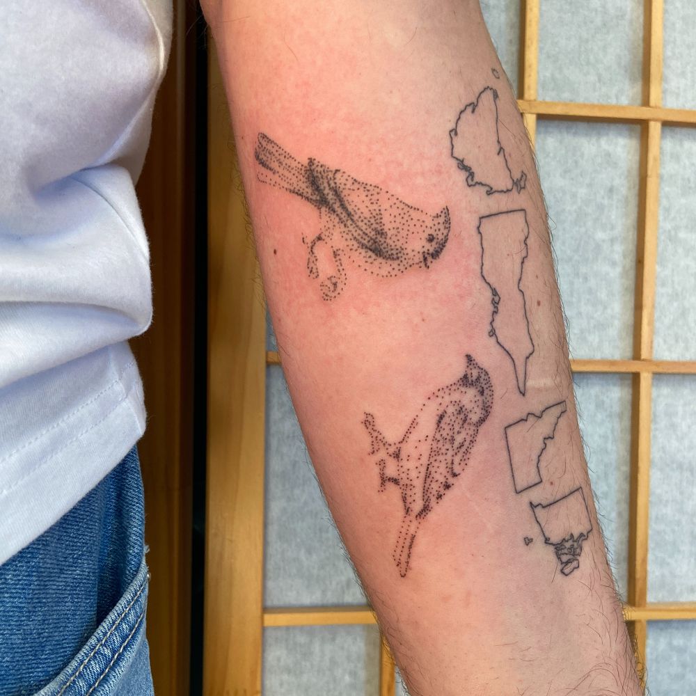 Two small dotwork handpoked tattoos of a cardinal and sparrow facing each other placed on the inner forearm