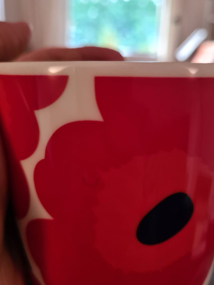 Tasse mit rotem Blumenmotiv, zwei Finger, im Hintergrund ein Fenster.