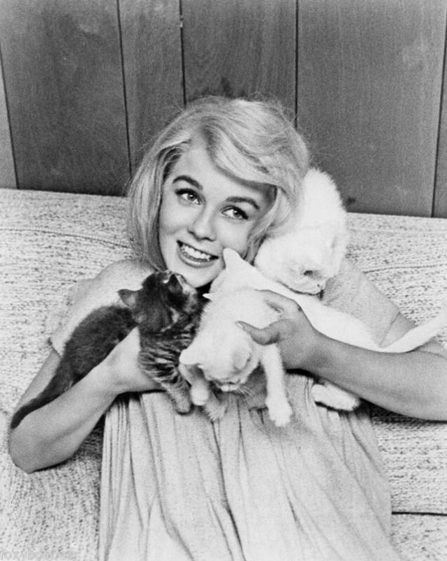 With a handful of kittens is the best way to watch TV