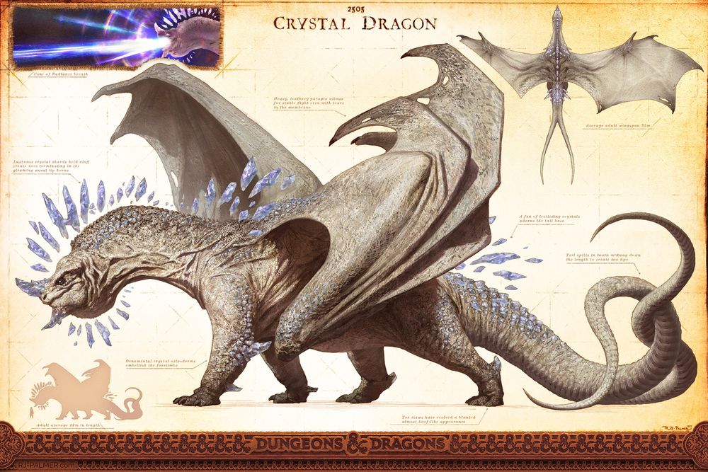 Design sheet for the Crystal dragon. It had two tails and saggy skin, mama mia what more could a guy want 😍