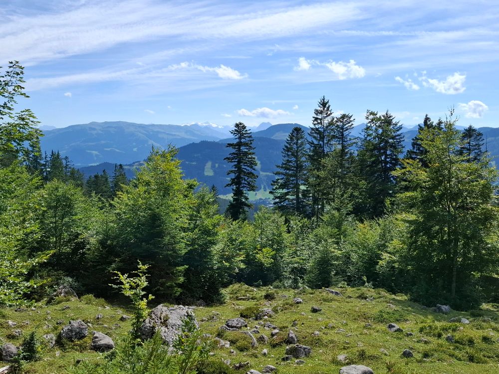 Berglandschaft mit dem Großvenediger am Horizont!