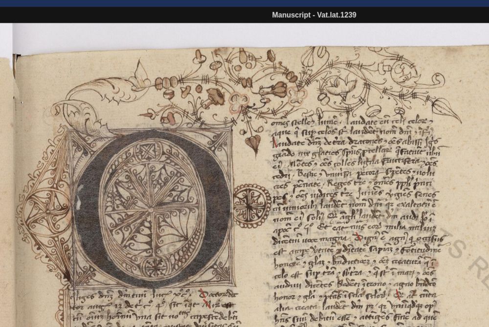 Lettrine superbement ornée de motifs végétaux dans un manuscrit XVe 