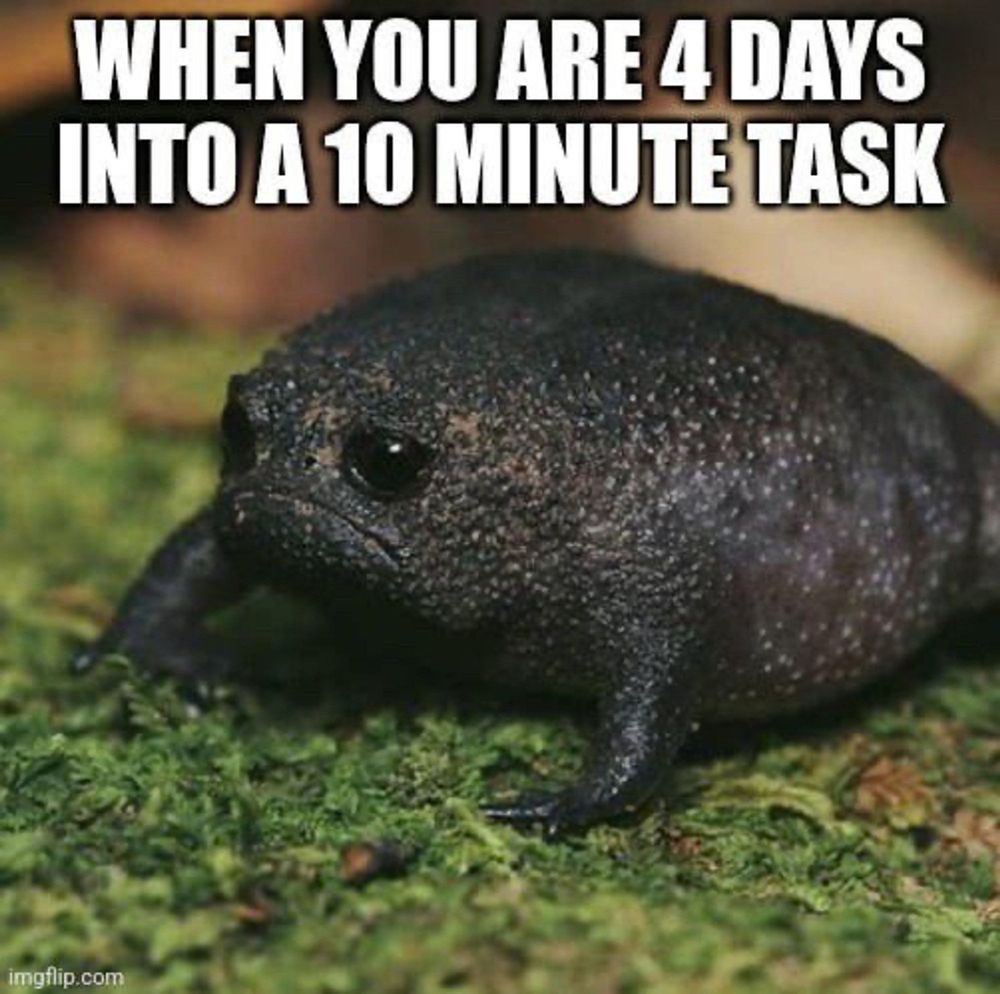 picture of a very round black unhappy looking toad. caption: WHEN YOU ARE 4 DAYS INTO A 10 MINUTE TASK 