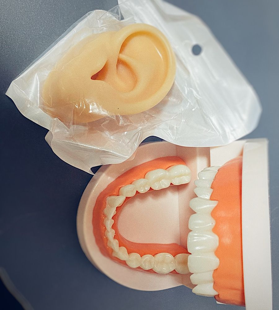 歯列模型とシリコン製の耳の模型の画像