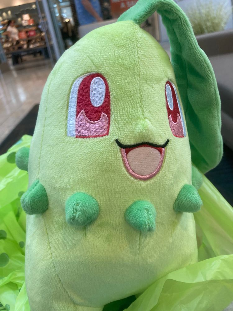 a very good girl (chikorita)